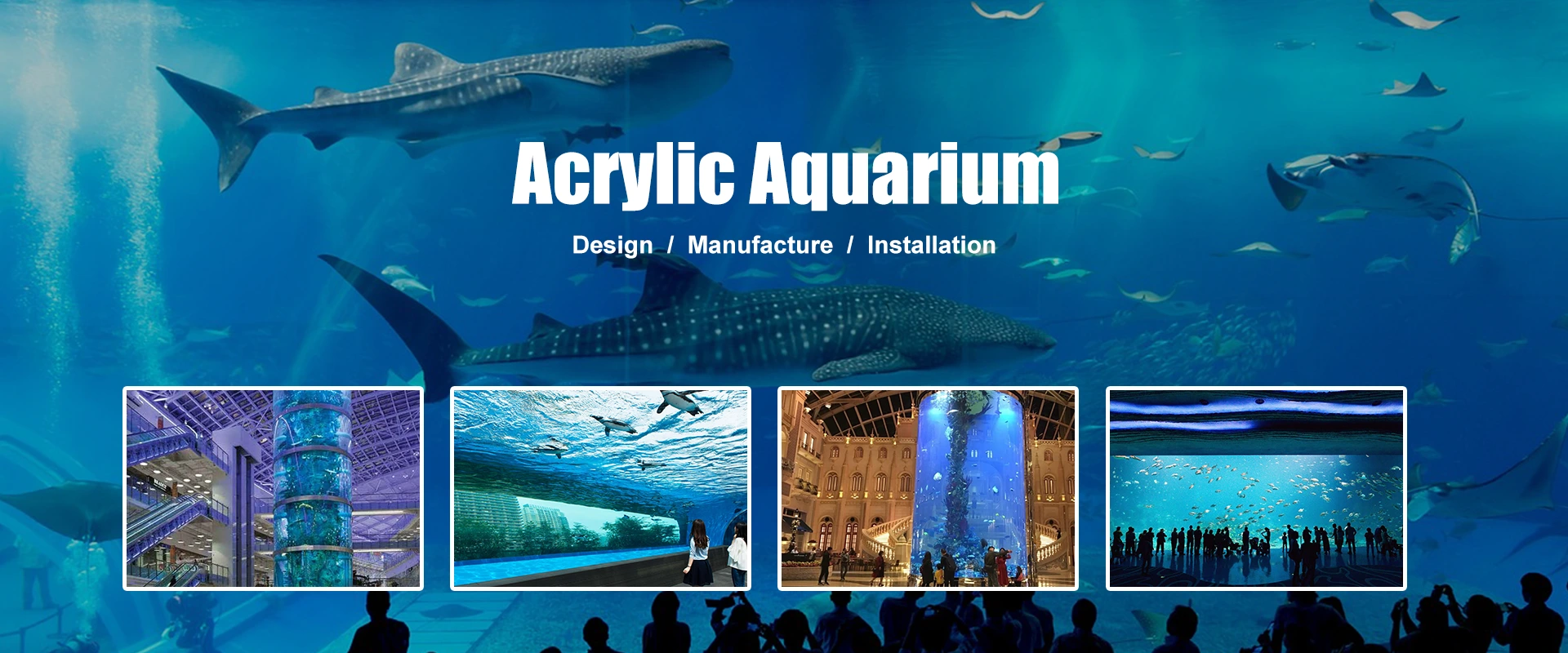 Nhà cung cấp hồ cá acrylic Trung Quốc