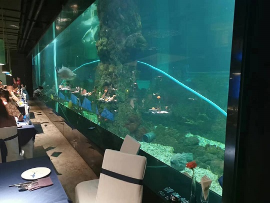 Nghệ thuật chế tạo dưới nước: Panorama bể cá acrylic nhập vai cho các nhà hàng theo chủ đề