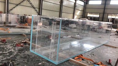 Cửa sổ xem hồ cá: Một trung tâm trực quan để kết nối thế giới dưới nước